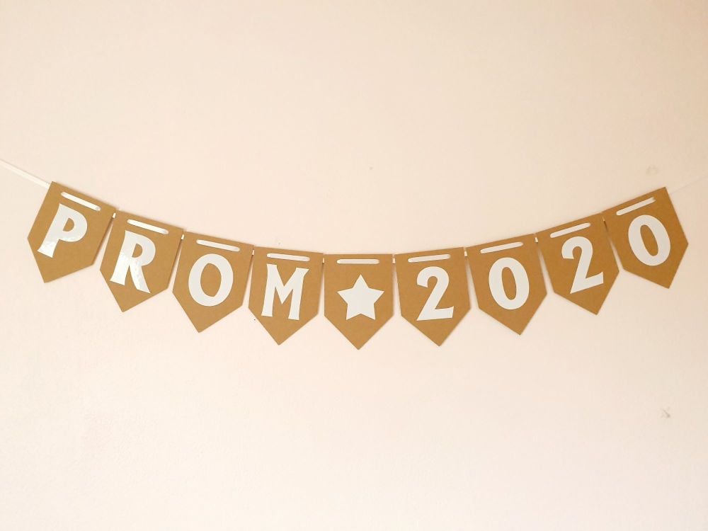 PROM 2020 Banner / School Bunting / party decorations. Hanging Garland. Pro