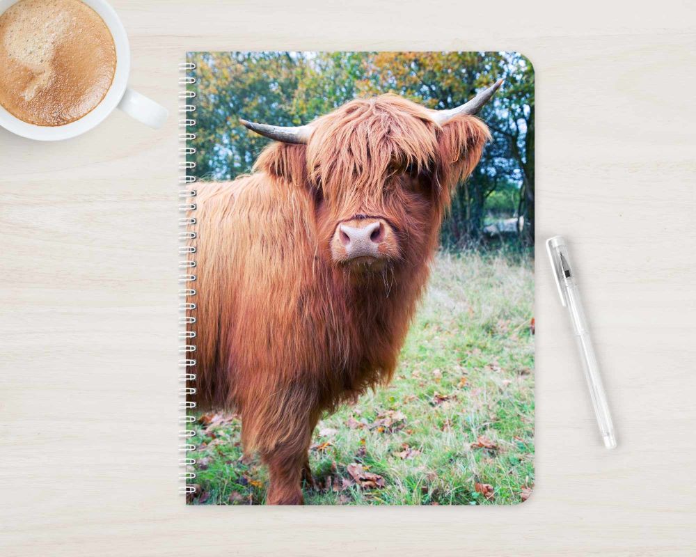 Highland cow notebook - journal