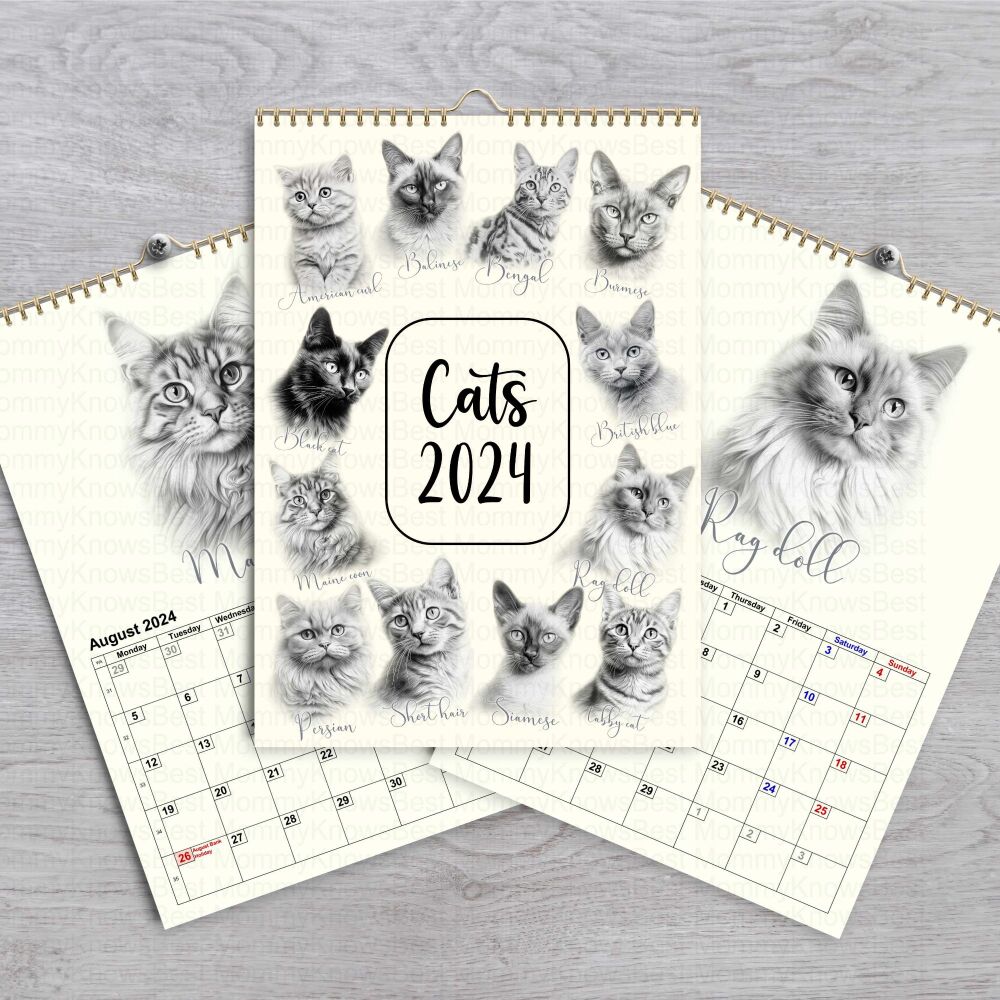 2024 Cats Calendar - Sketched - Month to view