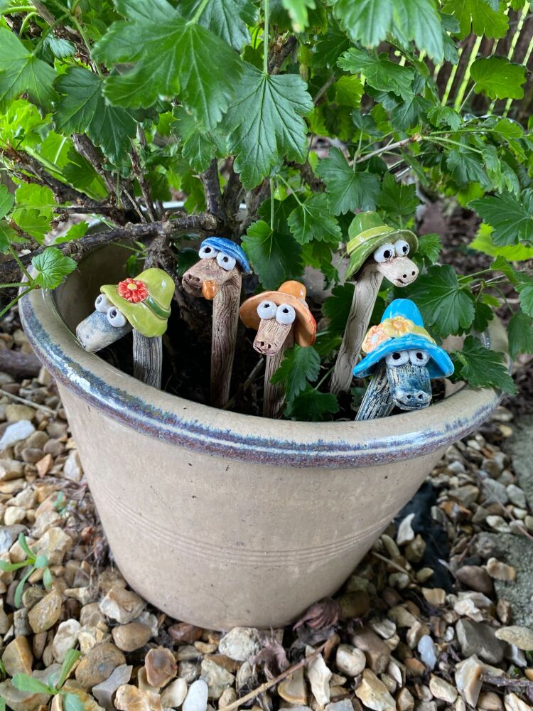 Pot Worms