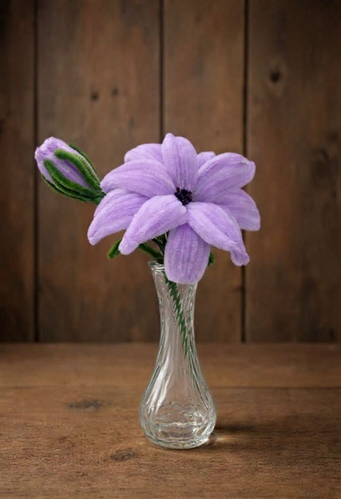 Fuzzy Flowers Workshop