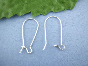 Kidney Shape Ear Wires