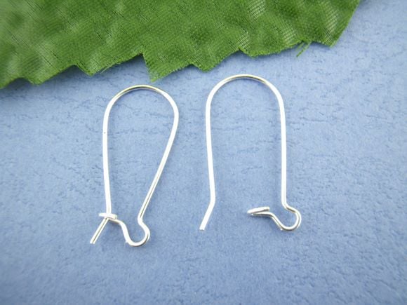 Silver Plated Kidney Shape Ear Wires