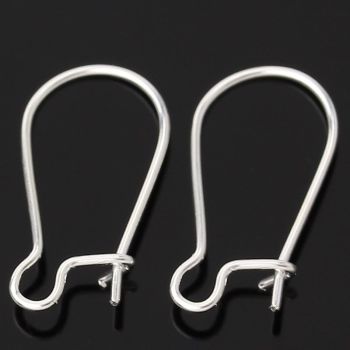 Kidney Shape Ear Wires - Large