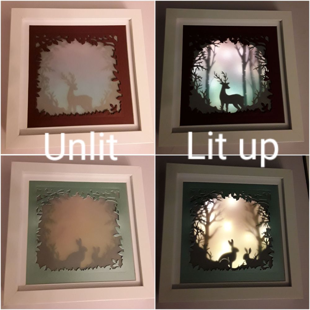 Lit up Shadow Box Frames