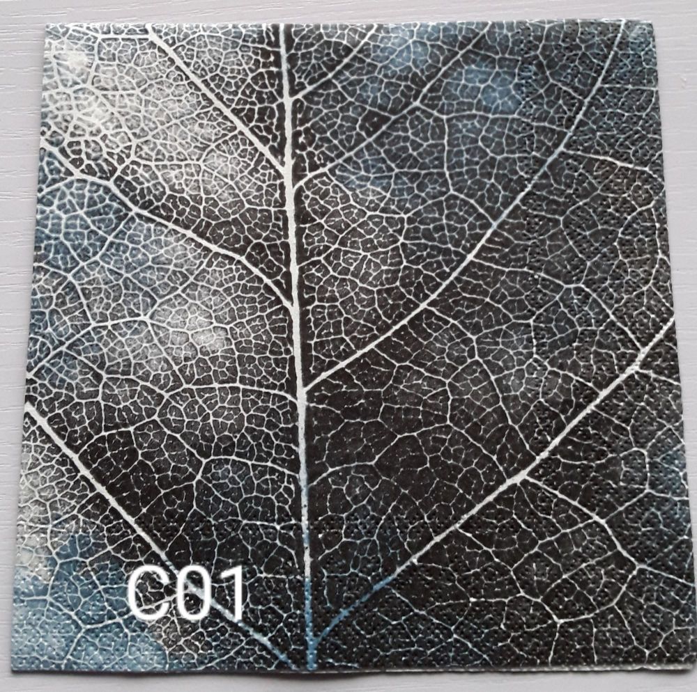 C01 - Blue Veined Leaf Detail