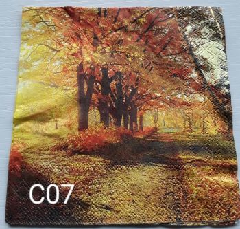 C07 - Forest Scene