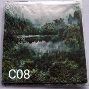 C08 - Forest Scene