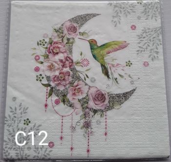 C12 - Hummingbird