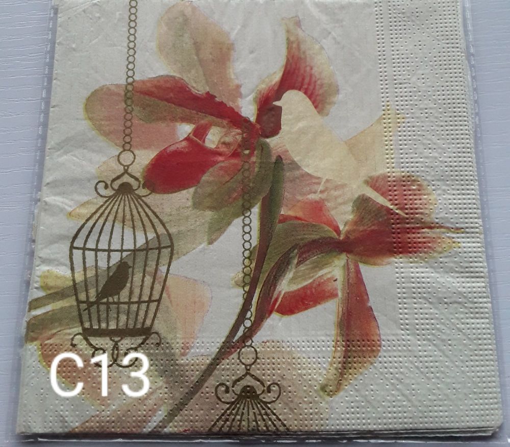 C13 - Birdcage