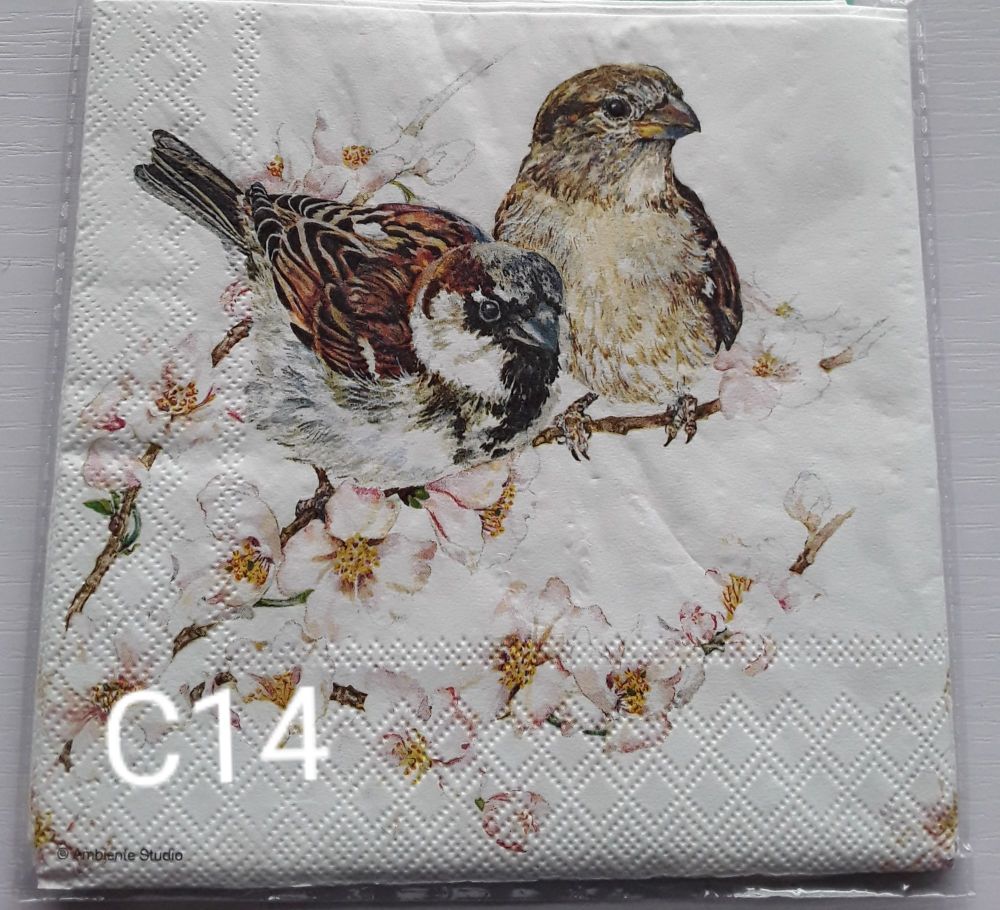 C14 - Bird & Blossom