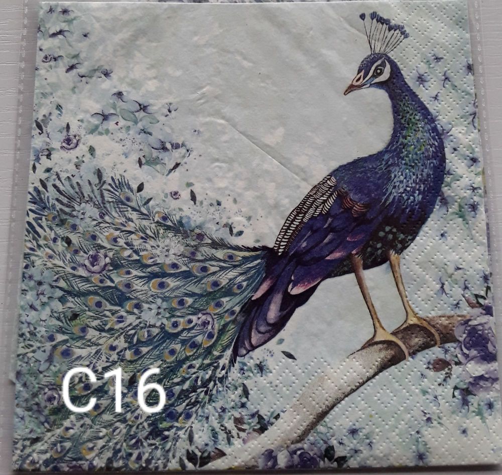 C16 - Peacock