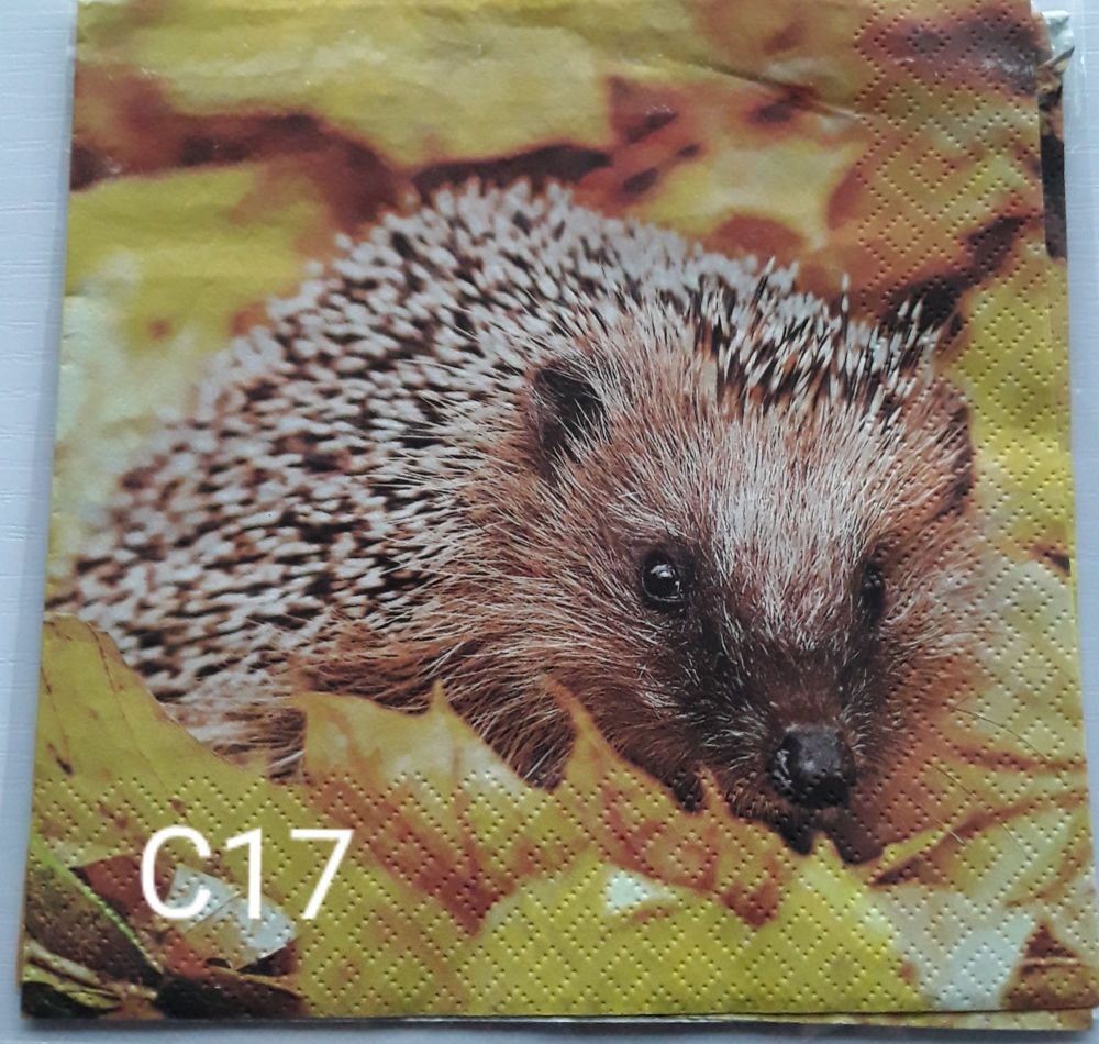 C17 - Hedgehog