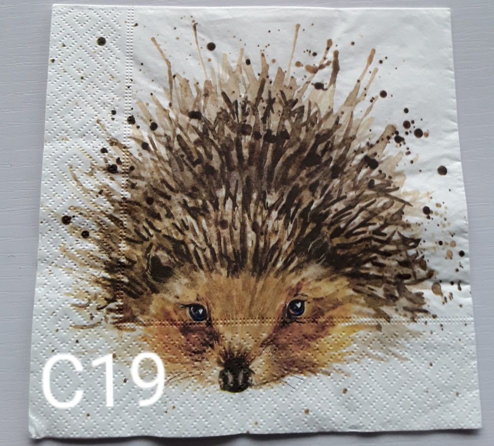 C19 - Hedgehog