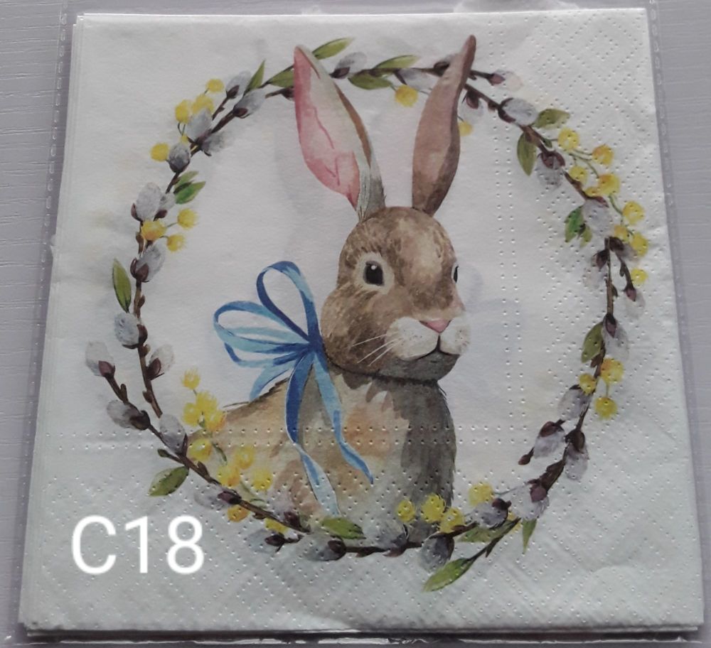C18 - Rabbit