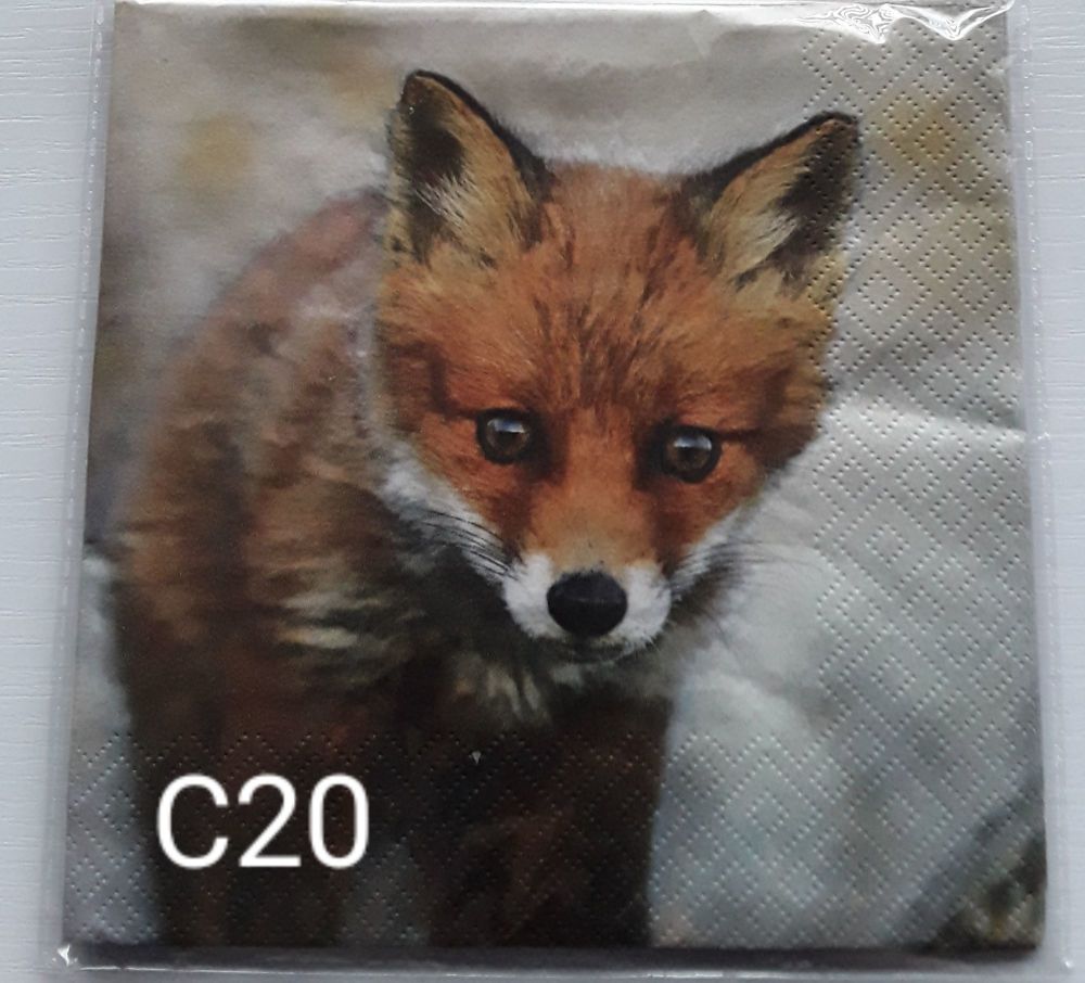 C20 - Fox