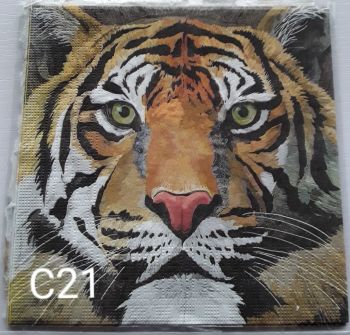 C21 - Tiger
