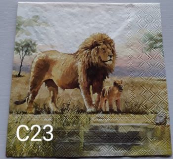 C23 - Lions