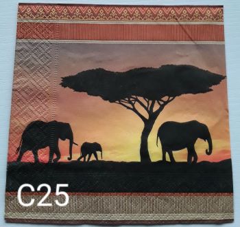 C25 - African Savannah