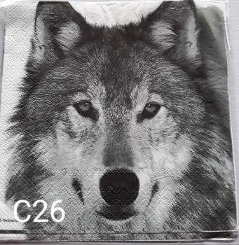 C26 - Wolf