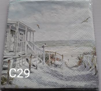 C29 - Beach scene