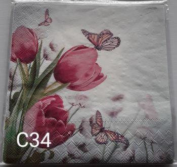 C34 - Butterflies