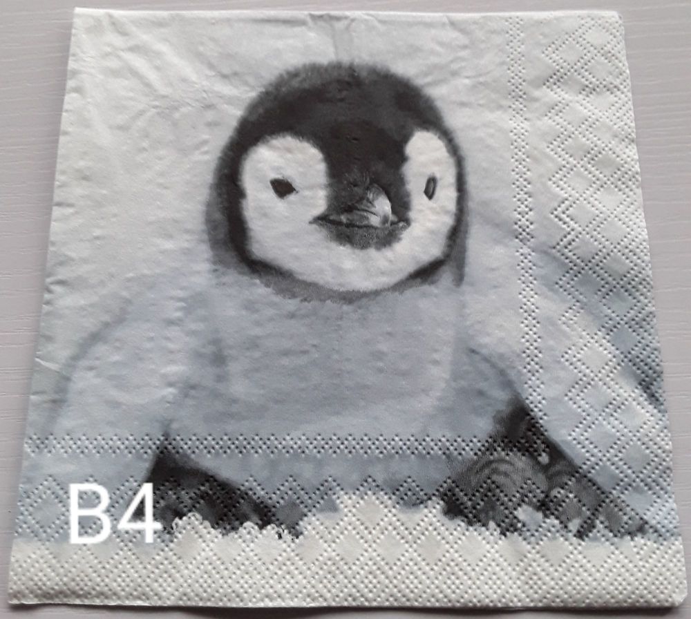 B04 - Penguin