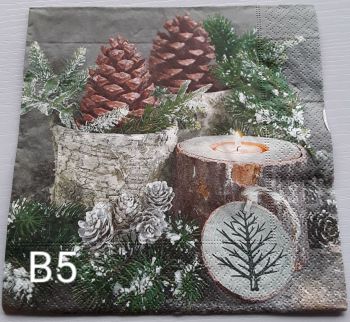 B05 - Pine Cones