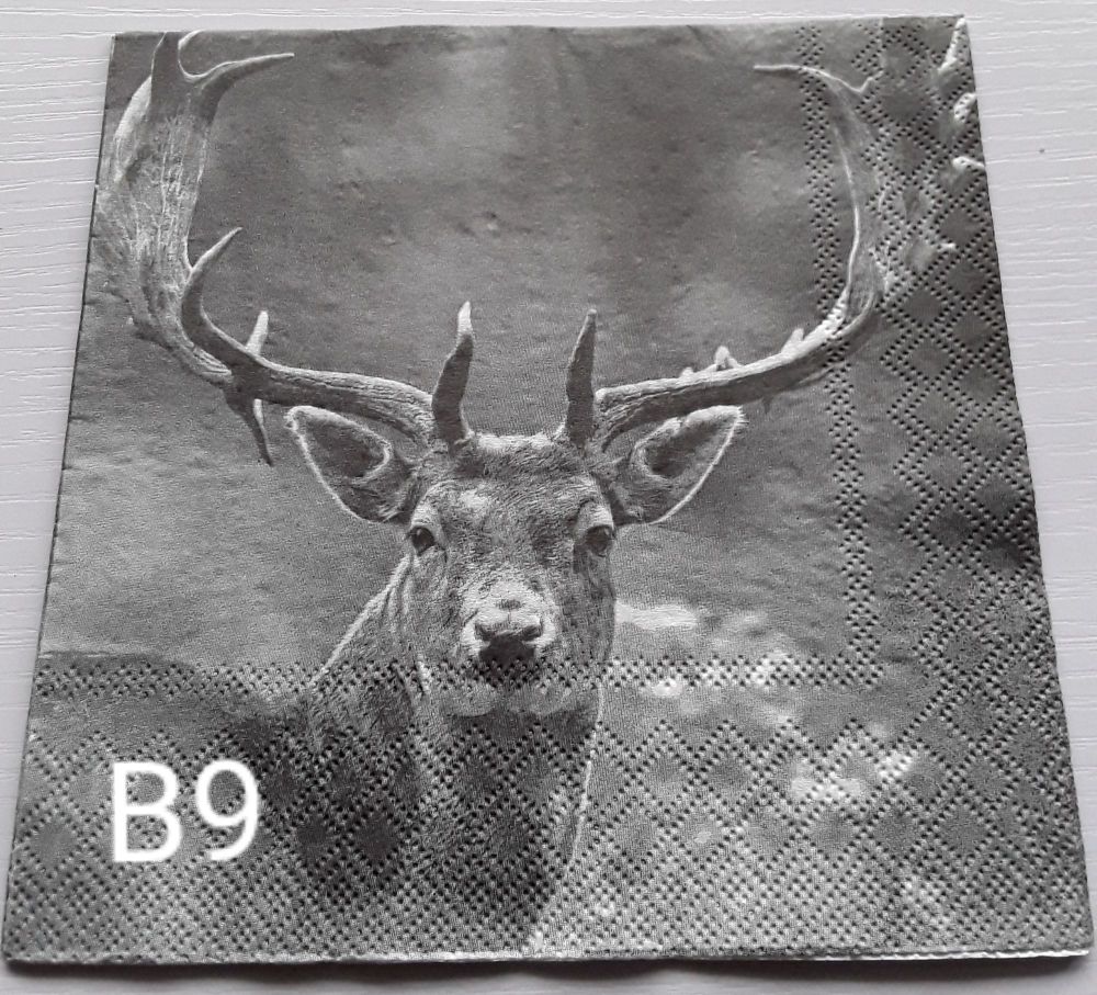 B09 - Stag