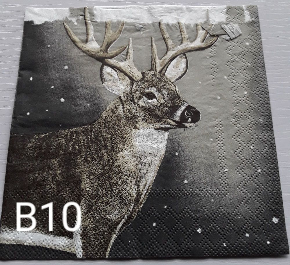 B10 - Stag