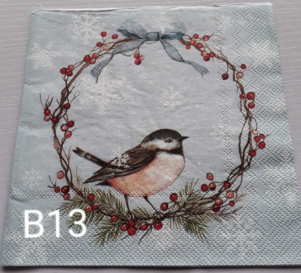 B13 - Birds
