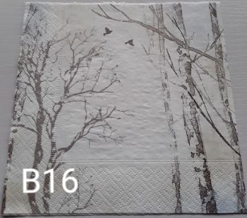B16 - Trees