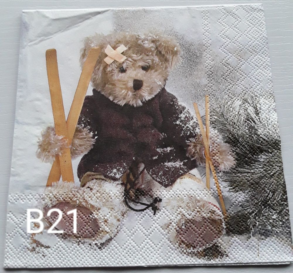 B21 - Teddy Bear