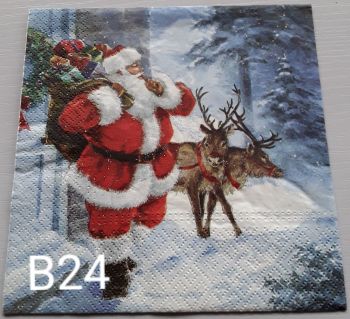 B24 - Father Christmas