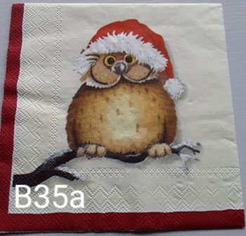 B35a - Cute Owl