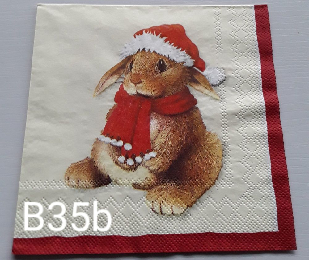 B35b - Cute Rabbit
