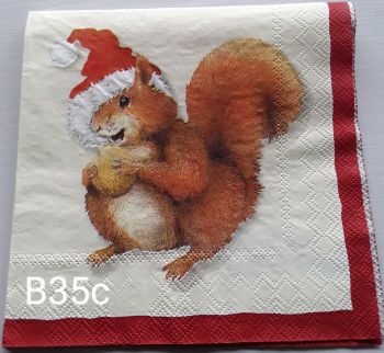 B35c- Cute Squirrel
