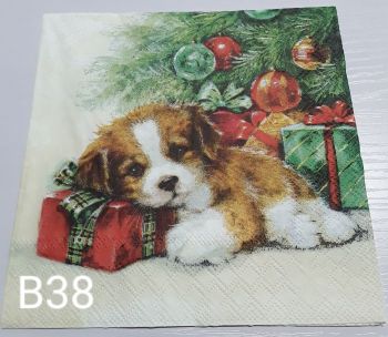 B38 - Cute Puppy