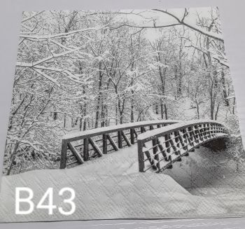 B43 - A Winter Walk