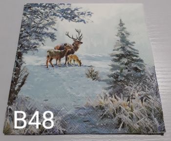 B48 - Stag