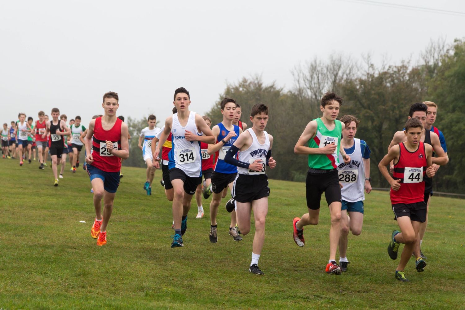 Cross Country League