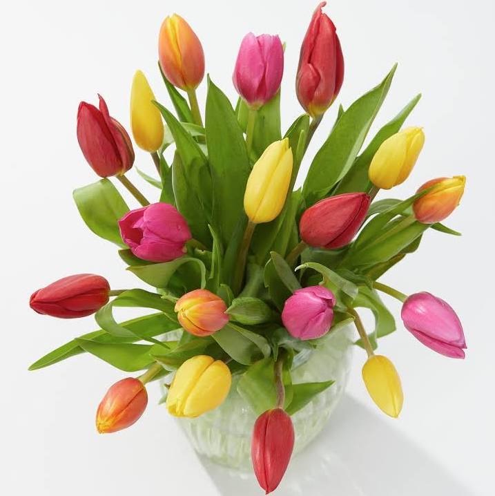 Mixed Tulips Bouquet 
