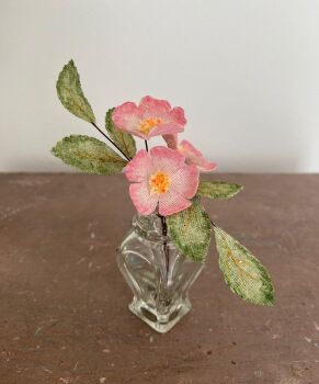 A Trio of Dog Roses