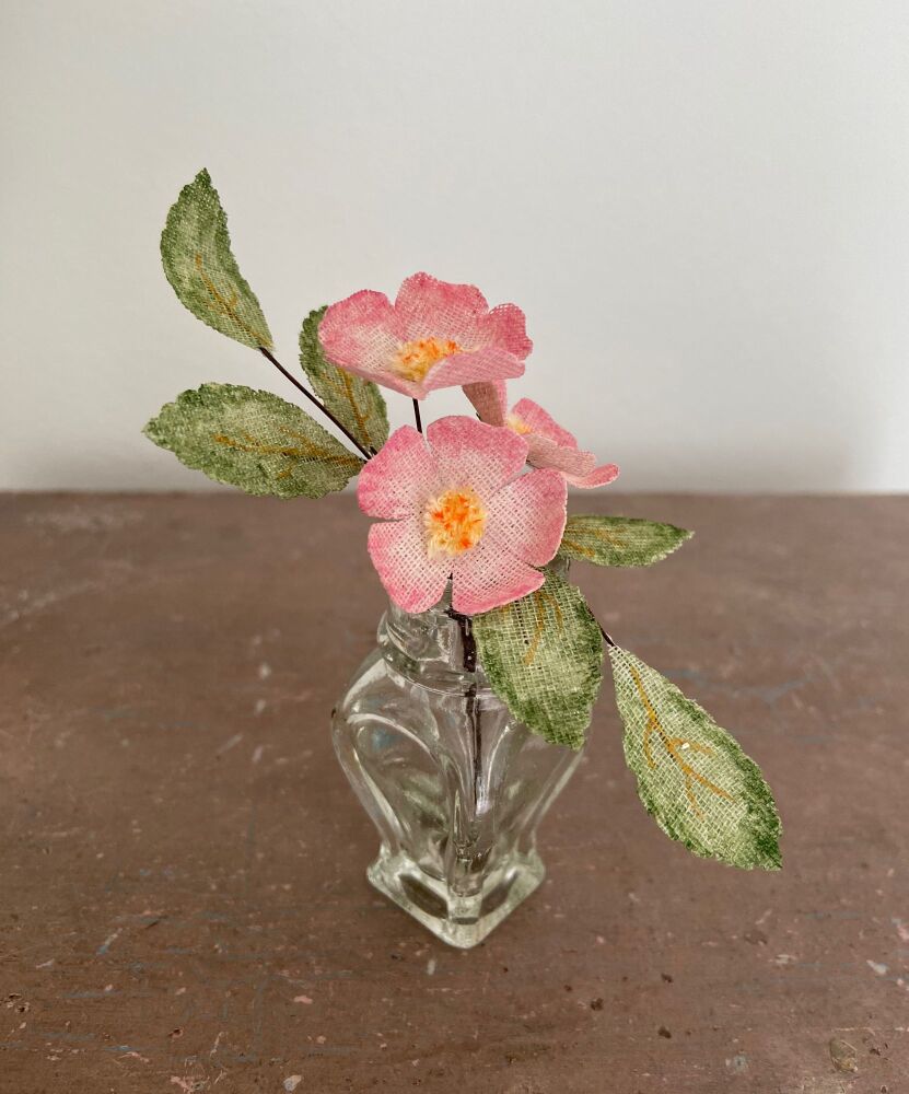 A Trio of Dog Roses