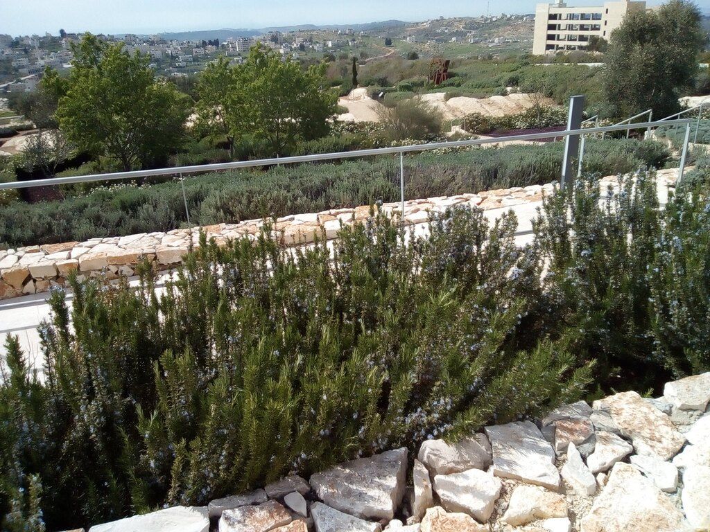 View from Palestinian museum