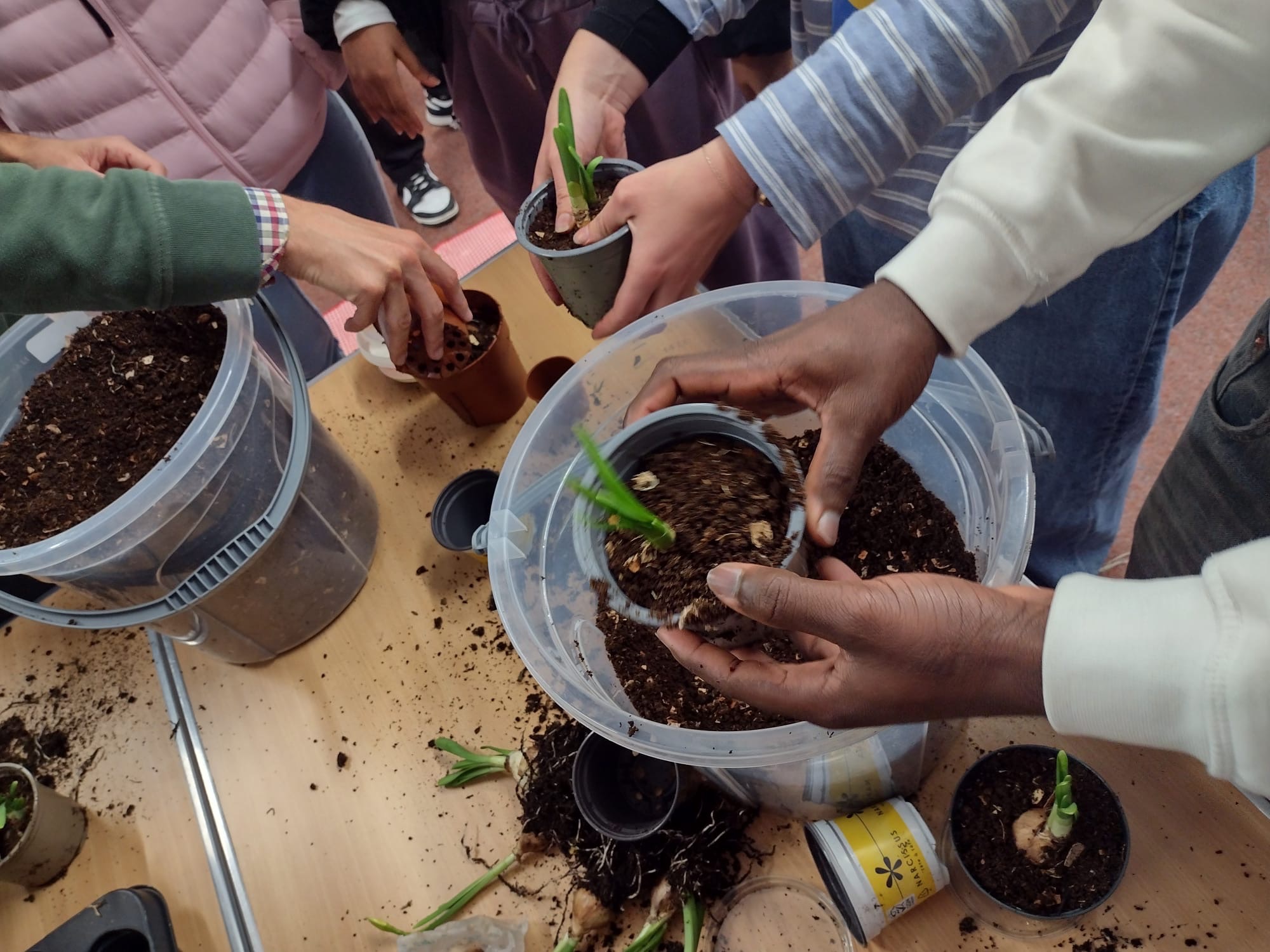 9251e367-af0d-4ed6-8202-db1d94c77eb6