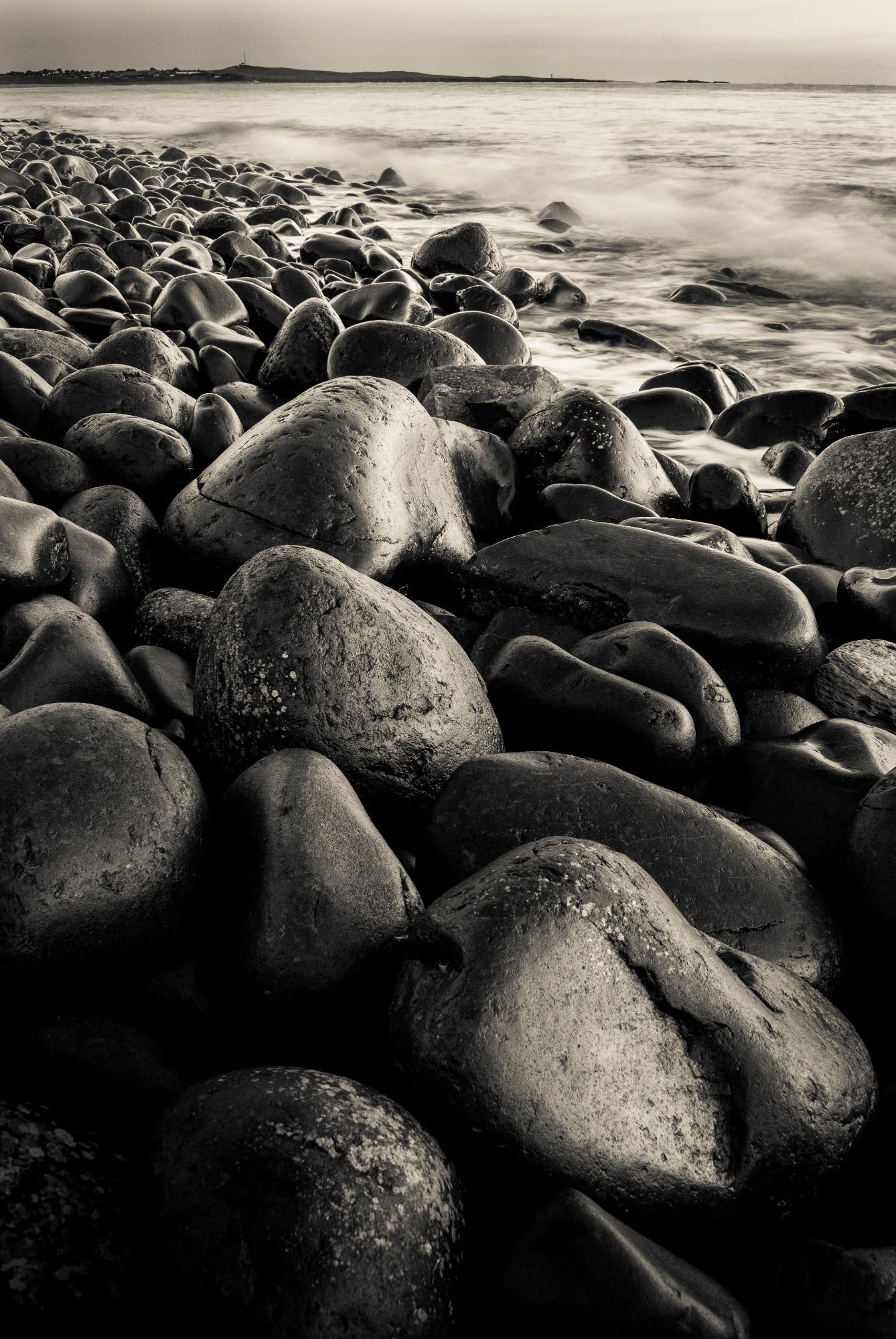Rocks on a beach shine under the sunshine. The image is black and white
