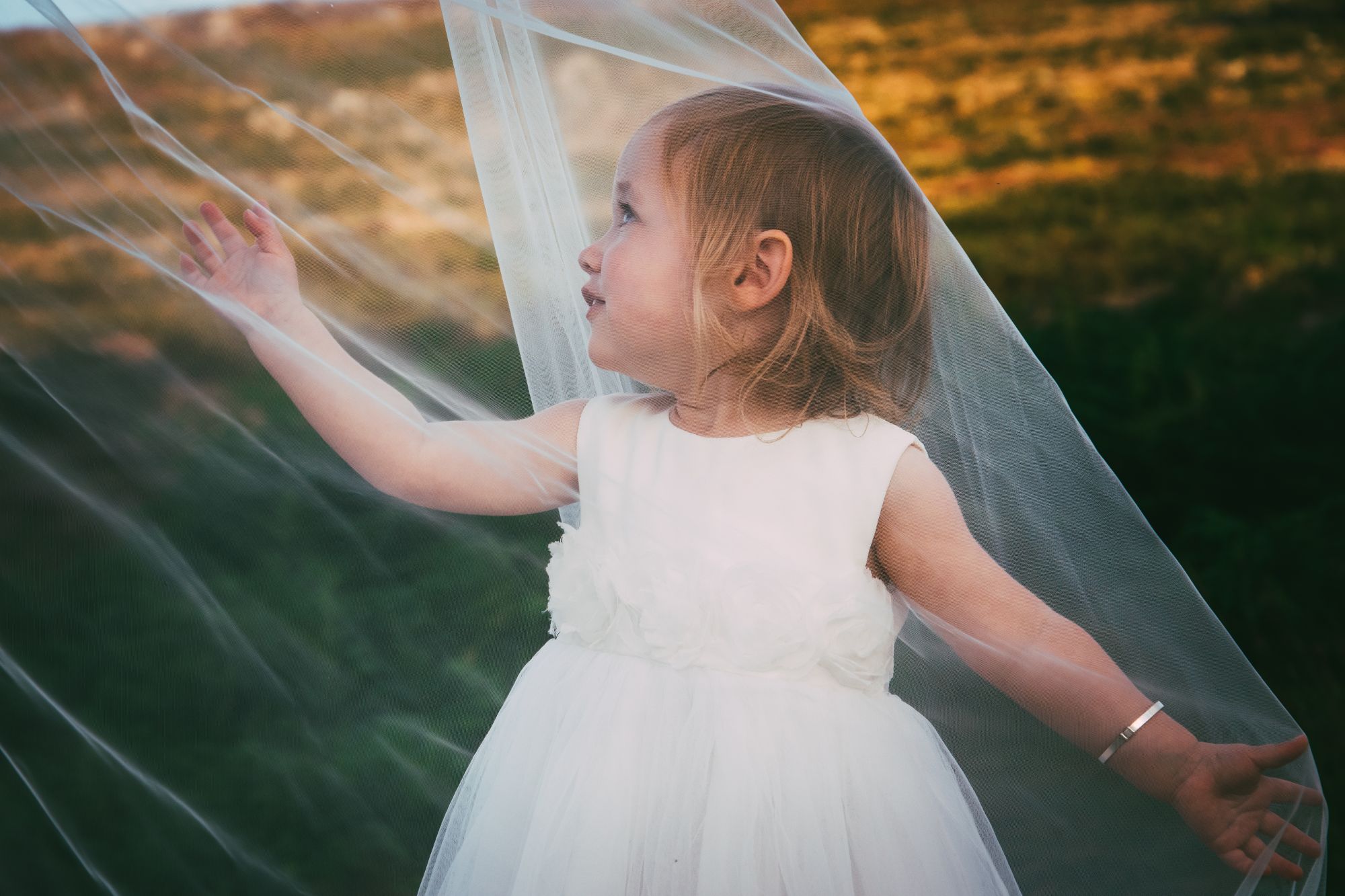 The bride and groom's daughter stands under her Mum's veil and plays with it during their post wedding photoshoot.