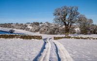 Hazel Head Farm In Winter - Landscape
