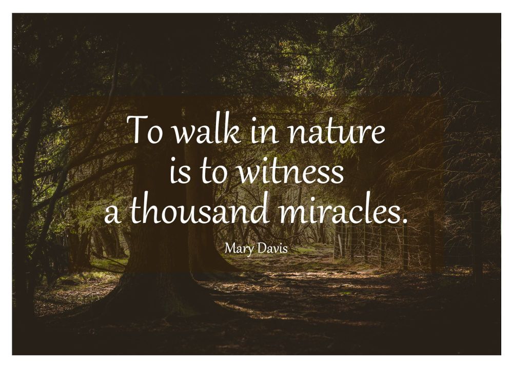 Walk In Nature